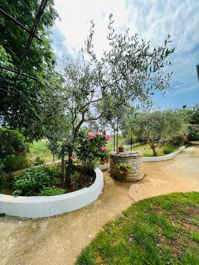 Pomerino Apartmans Esterno foto